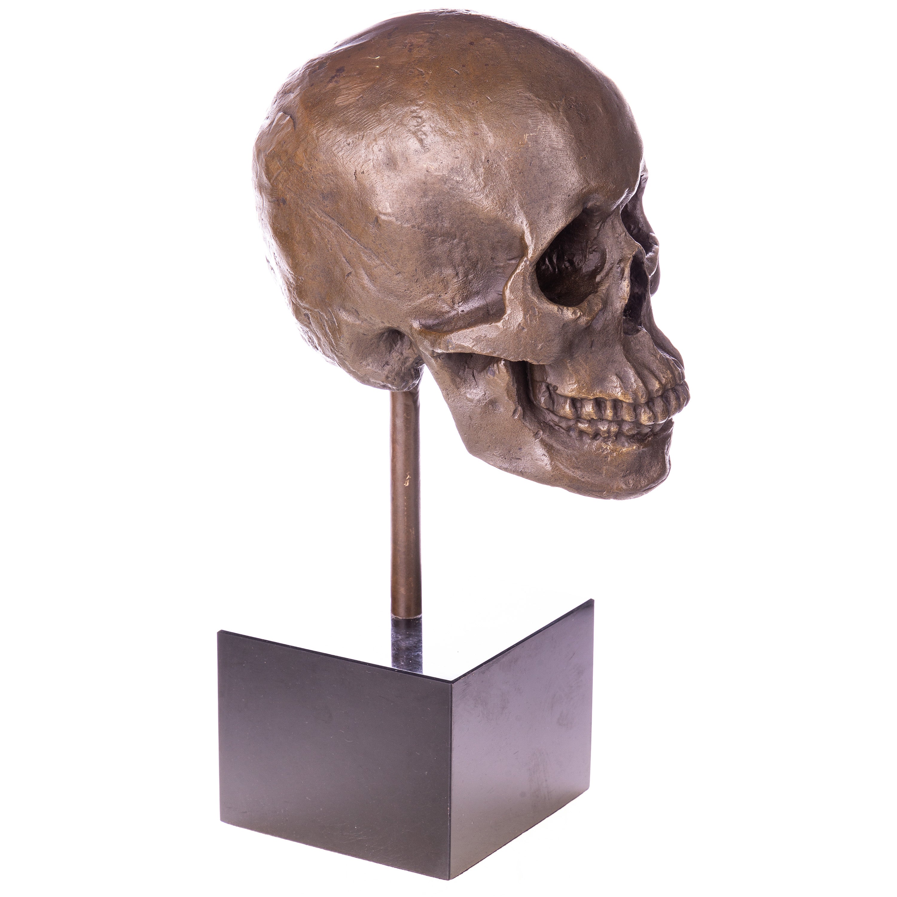 Bronzeskulptur Totenkopf auf Marmorsockel – Vanitas Skull signiert