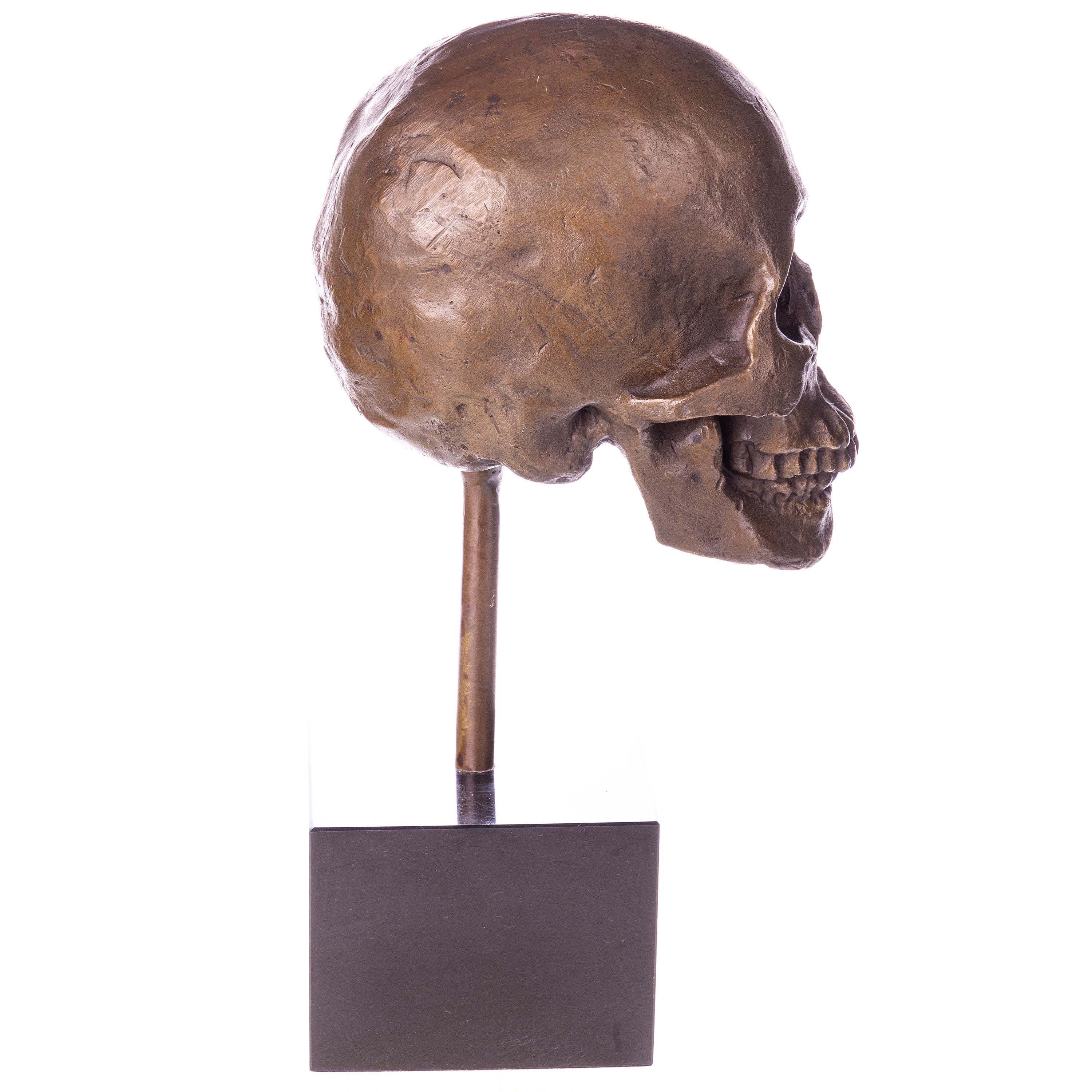 Bronzeskulptur Totenkopf auf Marmorsockel – Vanitas Skull signiert