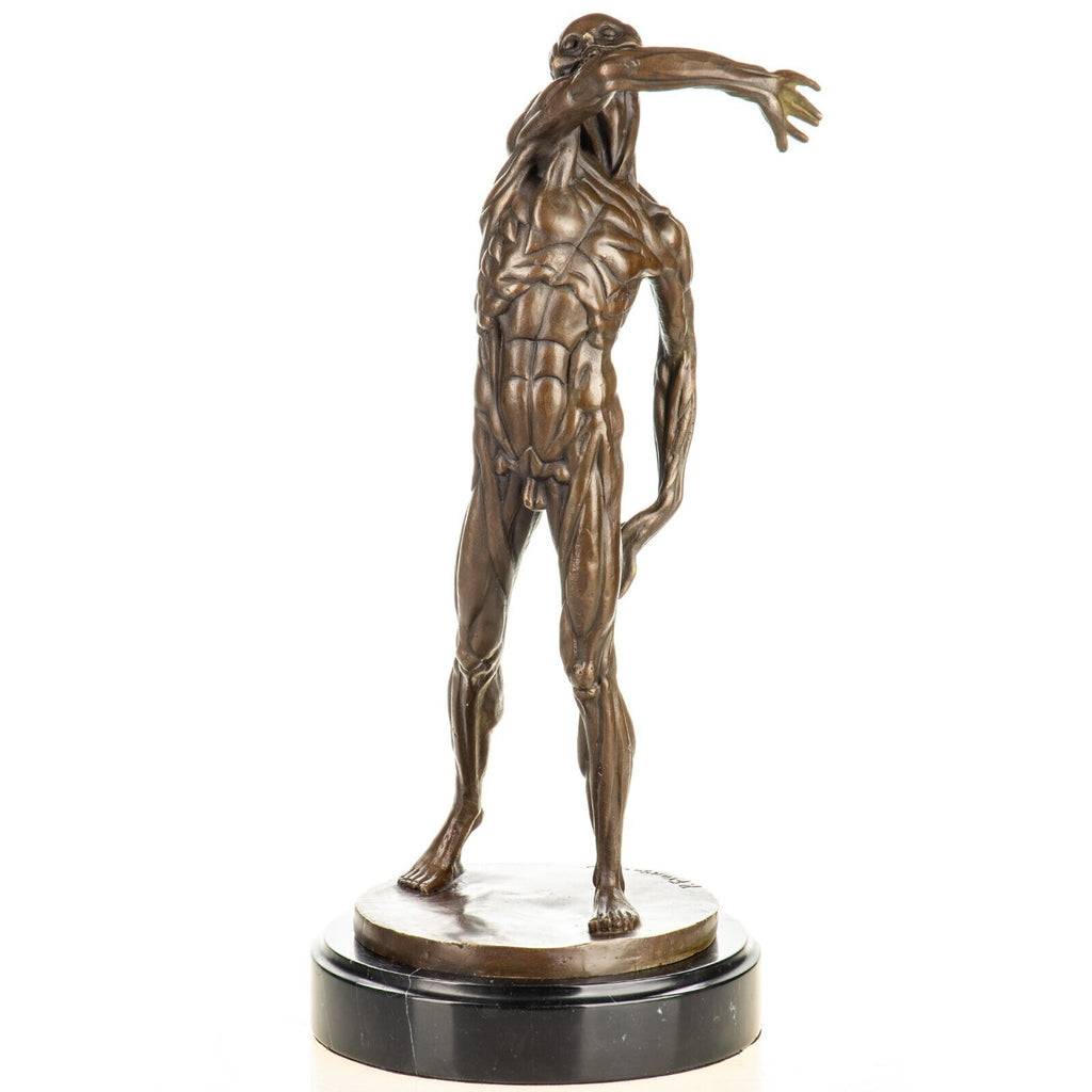 Bronze Skulptur Anatomie des Mannes – signierte Bronzefigur auf Marmorsockel