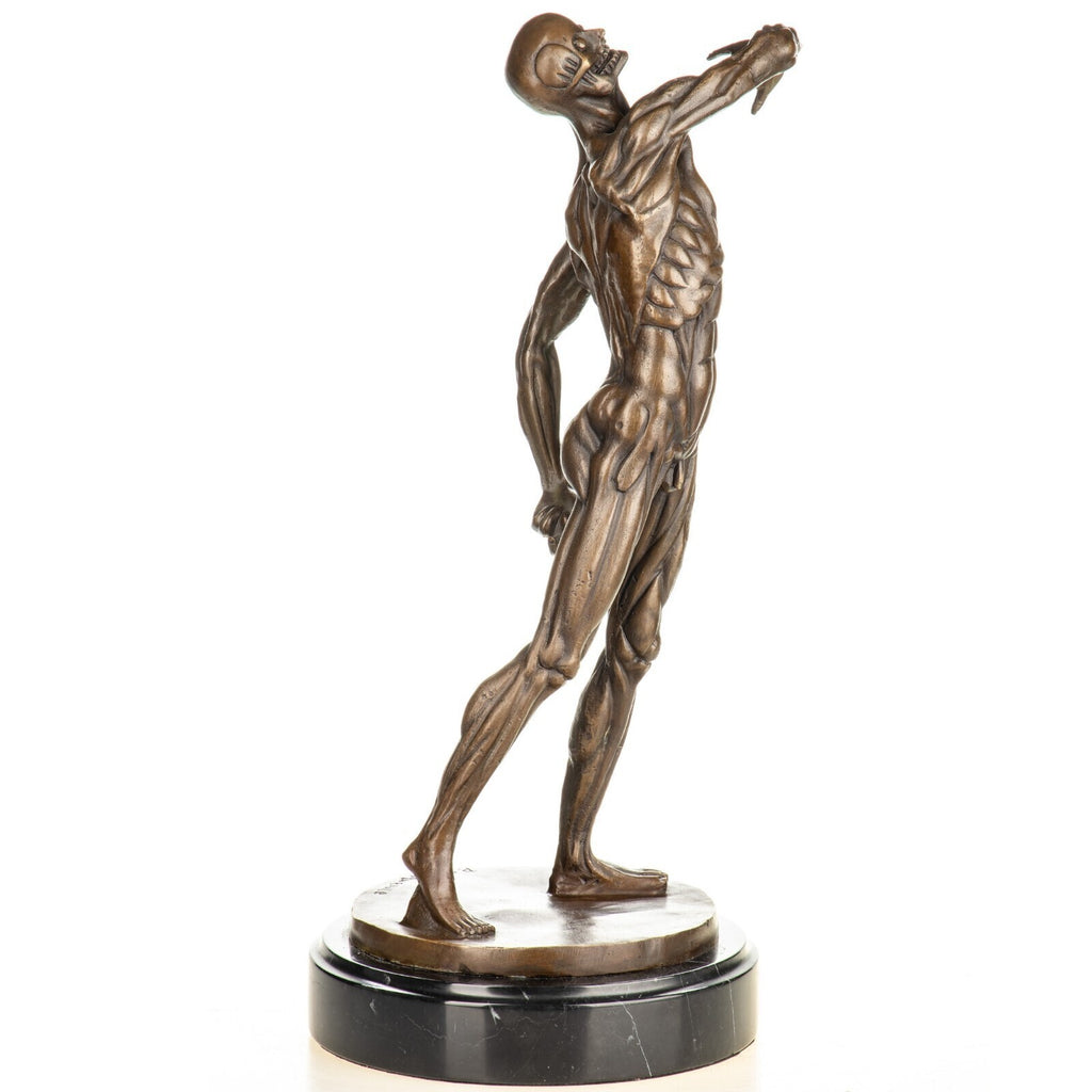 Bronze Skulptur Anatomie des Mannes – signierte Bronzefigur auf Marmorsockel