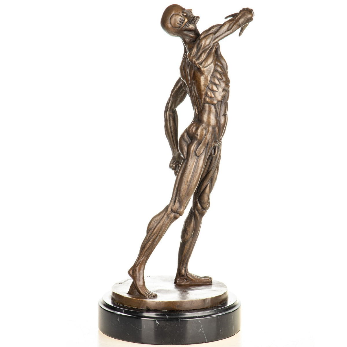 Bronze Skulptur Anatomie des Mannes – signierte Bronzefigur auf Marmorsockel